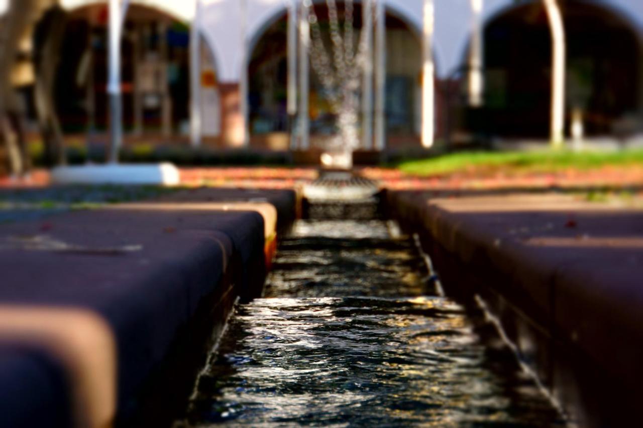 Fewo Schwarzwaldfreude Freudenstadt Extérieur photo